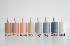 Silicone Straw Cup